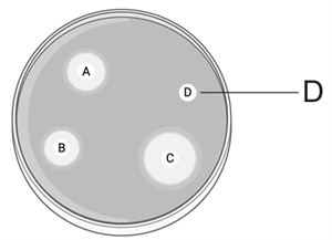 Screenshot 2026-01-21 161832.png