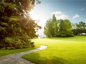 shutterstock_529541479.jpg