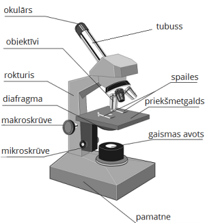 microscope4.png