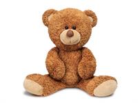 Shutterstock_2022108608_teddy bear_plīša lācis.jpg