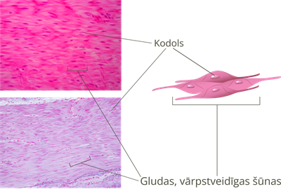 YCUZD_250325_7160_10.png