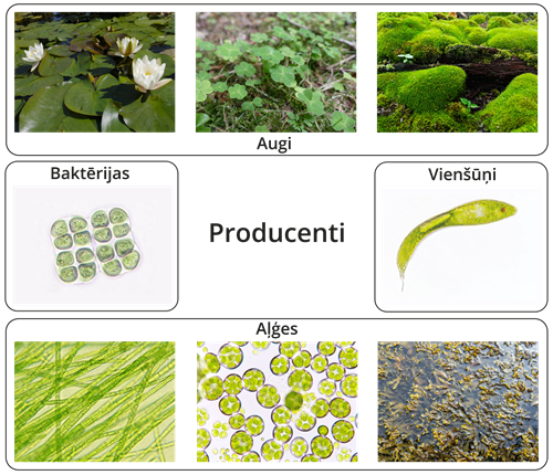 YCUZD2504227222fotokolažs10_lab.png
