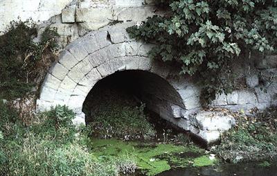 unnamed (12).jpg