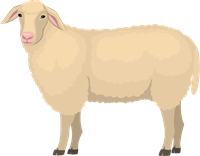 5.png