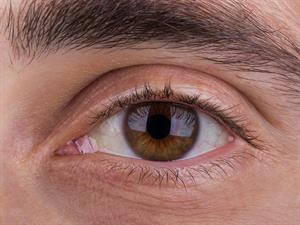 shutterstock_2492064685_eye_acs.jpg