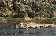 nile2.jpg
