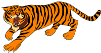тигр.png