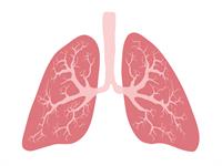 shutterstock_1701994387.jpg