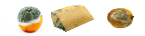 YCUZD_250325_7202_P11.png