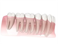 Shutterstock_1669842031_teeth_zobi.jpg