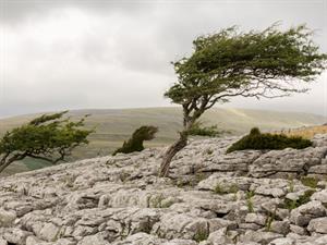 Shutterstock_148698953_wind_vējš.jpg