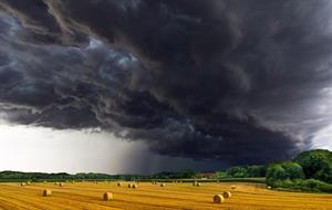 nature-3159410_960_720.jpg