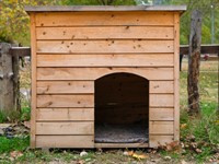 Shutterstock_2390064361_dog kennel_suņu būda.jpg