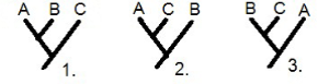 ii.png