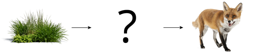 YCUZD_250813_7527_ķēde.png