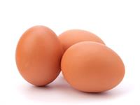 Shutterstock_110803370_eggs_olas.jpg