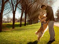 Shutterstock_1503284522_man with dog_vīrietis ar suni.jpg