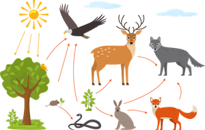 shutterstock_1987733192.png