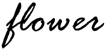 flower.png