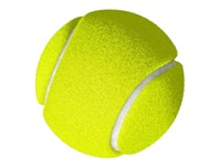 Shutterstock_2497873505_tennis ball_tenisa bumba.jpg