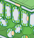 fff.png