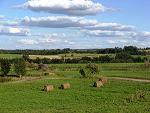 latgale_lauki.jpg