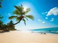 Shutterstock_109674992_beach_pludmale.jpg