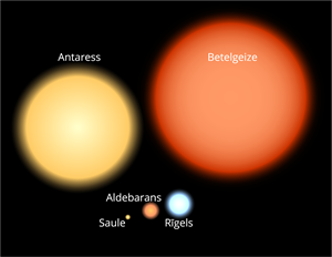 YCUZD_250522_7292_saules_2.png