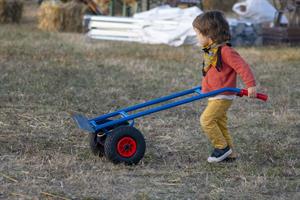 working-4917034_1920.jpg