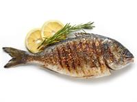 Shutterstock_1491288293_fish_zivs.jpg