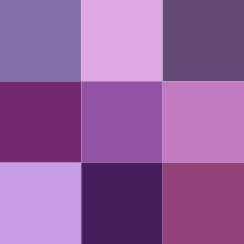 220px-Color_icon_purple_v2.svg.png