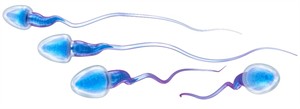 Shutterstock275736677.jpg