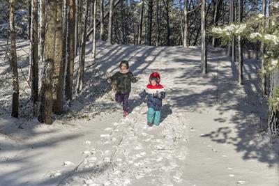 winter-4827613_960_720.jpg