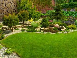 Shutterstock_1932243626_garden_dārzs.jpg