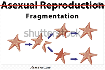 Screenshot 2025-10-29 102455.png