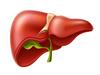 Shutterstock_1794723994_liver_aknas.jpg