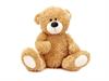 Shutterstock_1390548923_teddy bear_plīša lācis.jpg