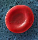 single-human-blood-cell-80200656-l.jpg