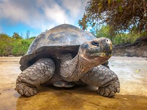 shutterstock_682808902.jpg