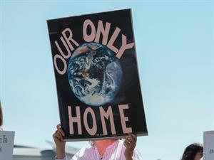 SewCream  Shutterstock.jpg