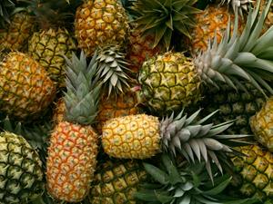 Shutterstock_370287722_pineapples_ananasi.jpg