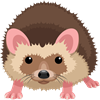 YCUZD_220603_3865_ezis_hedgehog.png
