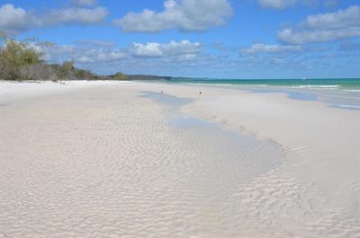 fraser-island-pix.jpg