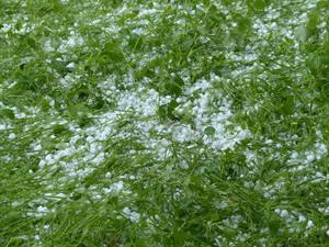 hailstones-123044_960_720.jpg