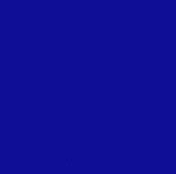 P1010200.jpg