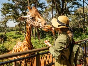 shutterstock_2447804695_zoo_zooparks.jpg