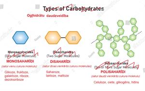 ogļhidrātu veidi.JPG