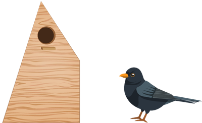 13.png