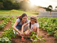 Shutterstock_2149265707_work in garden_strādāt dārzā.jpg