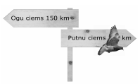 55.PNG